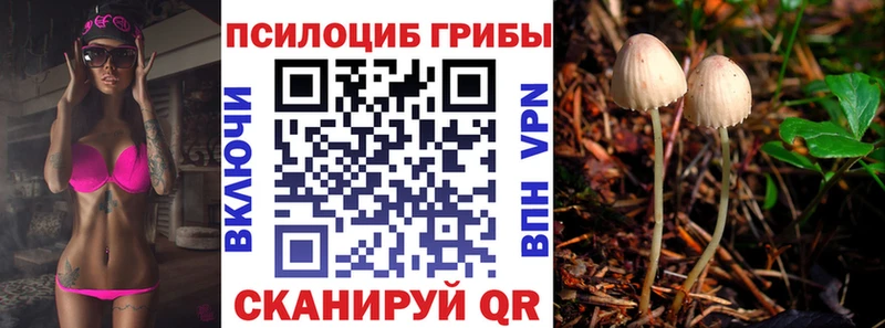 цена   маркетплейс как зайти  Галлюциногенные грибы мухоморы  Николаевск-на-Амуре 